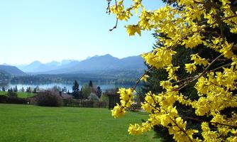 A beautiful view of a lake, surrounded by mountains. In the foreground, yellow flowers are blooming.