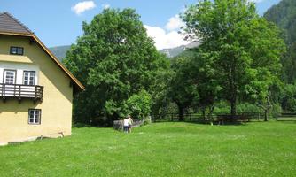 A quiet, green garden with a yellow house. In the background, there are large trees and a mountainous landscape.