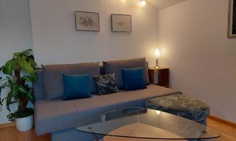 A cozy living room with a gray sofa and blue cushions. A plant and a glass table complete the furnishings.