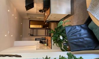 A modern kitchen with wooden surfaces and appliances. In the foreground, plants and a black chair can be seen.