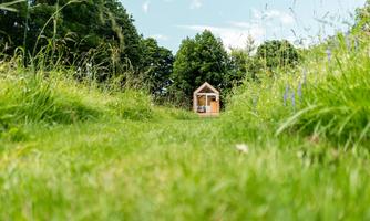 A small wooden building stands at the end of a narrow path, surrounded by green meadows and trees. The sky is blue with a few clouds.