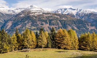A picturesque mountain landscape with snow-covered peaks in the background. In the foreground, green meadows and colorful deciduous trees can be seen.