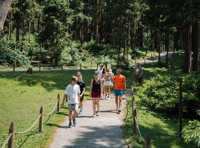 Abenteuer Affenberg
