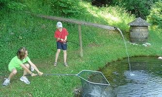 Two children are catching fish in a small pond. They are standing on the shore, surrounded by green nature.