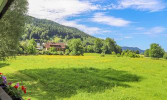 A green meadow with colorful flowers and a gently rolling landscape. In the background, there are trees and a cozy farmhouse.