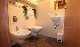 A modern bathroom with a bidet, a toilet, and a sink. The walls are light, and plants decorate the space.