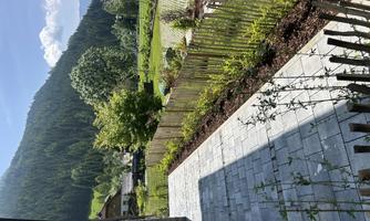 A beautiful garden with a paved path and a low fence. In the background, green mountains and a clear sky can be seen.