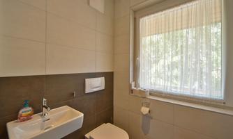 A modern bathroom with a sink and a toilet. The window lets in plenty of daylight and has curtains.