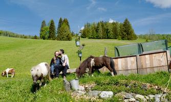 A couple is sitting on a meadow with ponies in the foreground. In the background, there are a green hillside and trees visible.