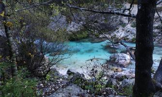 A clear, blue stream surrounded by trees and stones. The natural landscape conveys a calm and peaceful atmosphere.