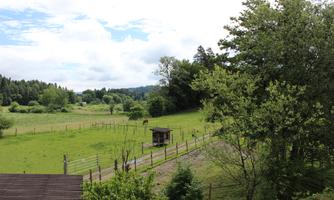 A green meadow with a horse paddock and a small shelter. In the background, there are trees and a cloudy sky.