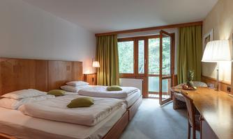 A cozy bedroom with two single beds and wooden paneling. Large windows let in plenty of daylight and offer a view of the green surroundings.