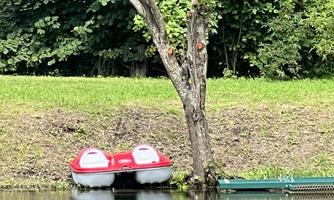 A red pedal boat lies on the shore of a calm body of water. A tree stands in the background, and green riverbank land is visible.