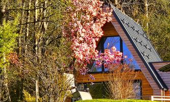 Chalet village in spring