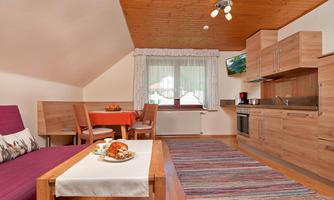 A cozy living room with a modern kitchen and a dining area. The space features wood paneling and large windows that let in plenty of light.