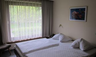 A bright room with two single beds and large windows. The room has a pleasant atmosphere and offers a view of the garden.