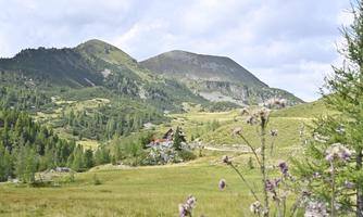 A picturesque landscape with green meadows, gentle hills, and mountains in the background. In the foreground, blooming plants can be seen.