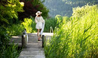 A wooden walkway surrounded by green plants and gentle hills.