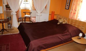 A cozy bedroom with a large bed and orange walls. A stuffed animal is lying on the bed and the room is bright and inviting.