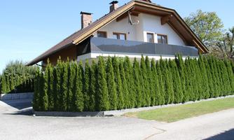 A modern house surrounded by tall cypress trees. The sky is clear and the surroundings are calm.