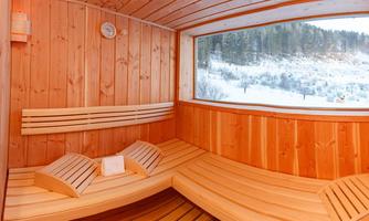 A cozy sauna with wood paneling and comfortable benches. Through the window, you can see a snow-covered landscape.