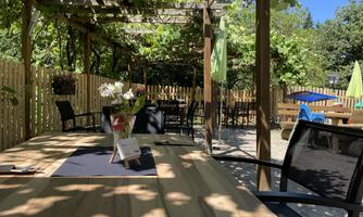 A beautiful outdoor area with a wooden table and chairs. Above the table, grapevines grow, and there is a pleasant, inviting atmosphere.