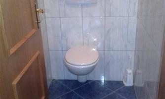 A small bathroom with a toilet and tiled walls. The floor is covered with blue tiles.