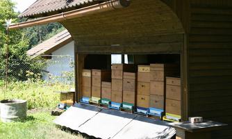 A beehive with several bee colonies stands in a garden. In the background, trees and another building are visible.