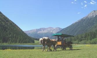 An idyllic landscape with horses and a carriage by the shore of a lake. In the background, green mountains stretch under a clear sky.