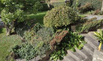 A green garden landscape with lush plants and shrubs. In the foreground are stone steps leading to a meadow.