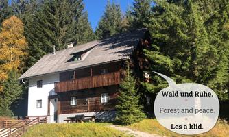 A cozy wooden house in the forest, surrounded by trees. Peace and harmony in nature.