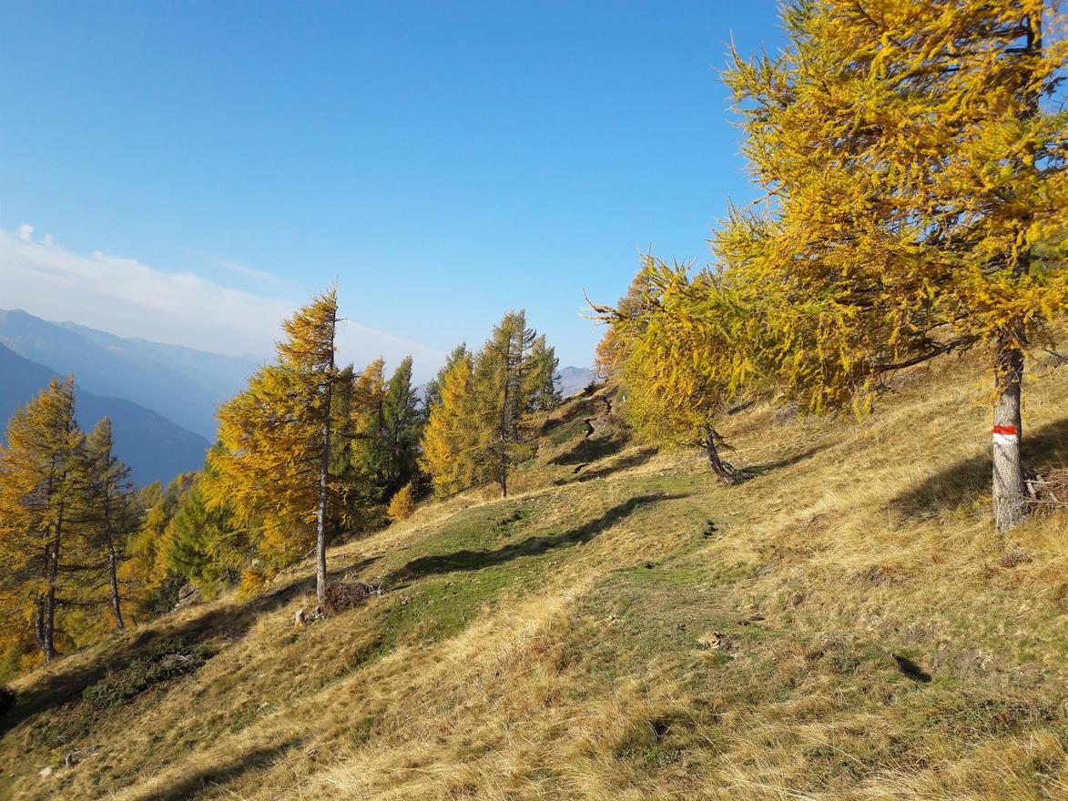 Almgasthof Himmelbauer