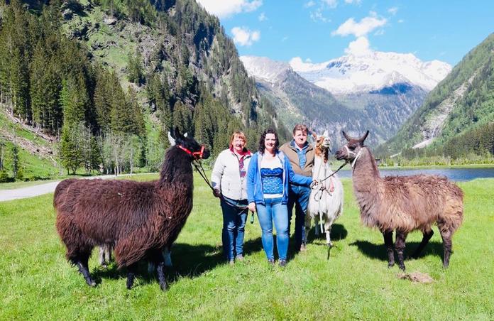 Lamawanderungen mit den Tauernlamas