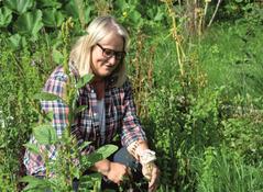 Kräuterkurs mit Sabine Pepper Kräuterkurs mit Sabine Pepper
