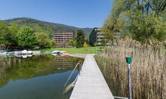 A tranquil lake with a wooden dock and green bank trees. In the background, modern buildings and boats can be seen.
