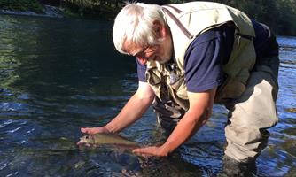 An older man is catching a fish in the water. He is standing in the water and is carefully holding the fish in both hands.