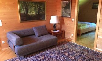 A cozy living room with a gray sofa and a rug. In the background, a bedroom with a bed is visible.