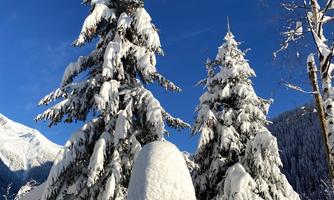 A snowy winter day with snow-covered fir trees and a clear blue sky. A lantern stands in the foreground, also covered in snow.