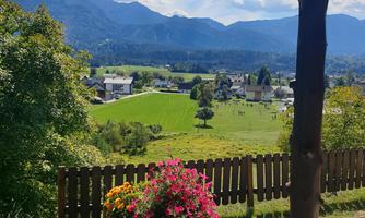 A picturesque view of green meadows and mountains. In the foreground, there is a blooming flower box.