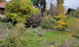 A picturesque garden with colorful trees and dense greenery. In the background are some houses and the nature is tinged with autumn colors.