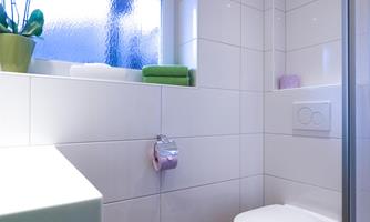 A modern bathroom with a shower and a sink. Daylight comes in through a window, and there is a small plant on the windowsill.