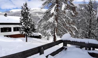A snow-covered village with a white house and tall fir trees. The landscape is wintry and idyllic.