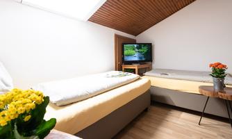A cozy bedroom with two beds and a television. On a table, there is a flower that adds a friendly atmosphere to the room.