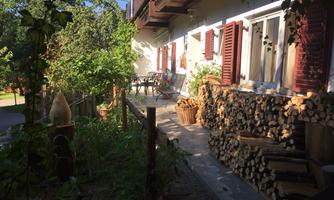 A cozy terrace with garden furniture and stacks of wood. Surrounded by green plants and a friendly atmosphere.
