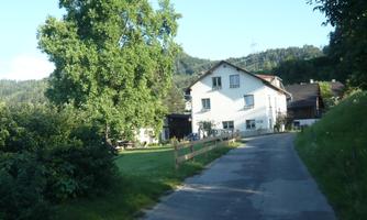 A country house on a quiet path, surrounded by trees and mountains. The nature is green and inviting.