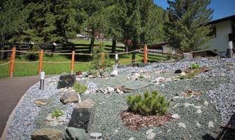 A well-maintained garden with stones, small plants, and evergreen trees. In the background, there is accommodation and a sunny landscape.