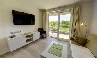 A modern living room with a television and a sofa. Large windows offer a view of a green garden.