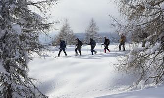A group of people is hiking in the snow between snow-covered trees. The sky is slightly cloudy and the landscape looks peaceful.