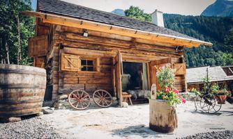 A charming wooden cabin with shutters and a cozy entrance. Surrounded by green nature and decorative plants.