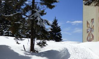 A snowy landscape with high fir trees and a clear blue sky. In the background, there is a building with colorful murals.